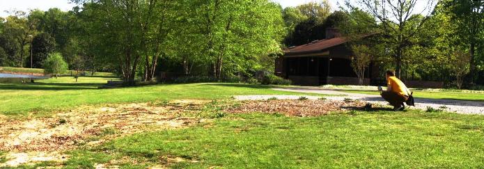 Panorama at the Duck Pond Small.jpg