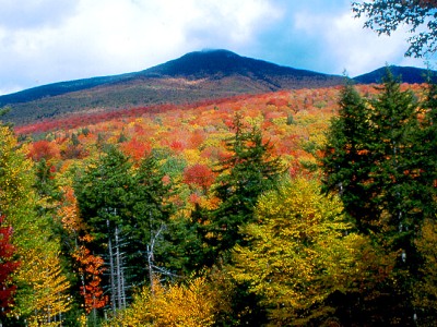 fall_vista_franconia.jpg